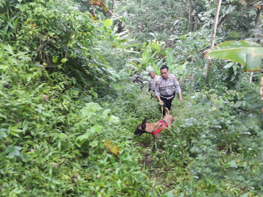 Polisi menerjunkan anjing pelacak dari Unit K9 untuk memburu pelaku yang diduga melarikan diri ke hutan/Polres Malang.