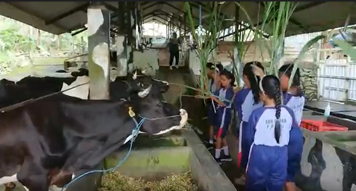  Wisata Kampung Susu di Tulungagung, Jawa Timur/metrotv