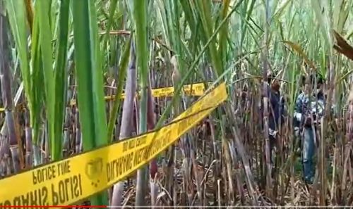 Lokasi penemuan kerangka manusia di Kepanjeng, Malang/metrotv