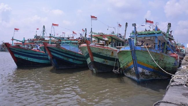 5 Kapal Cantrang di Situbondo Ditangkap, Tepergok Langgar Zona Tangkap Ikan