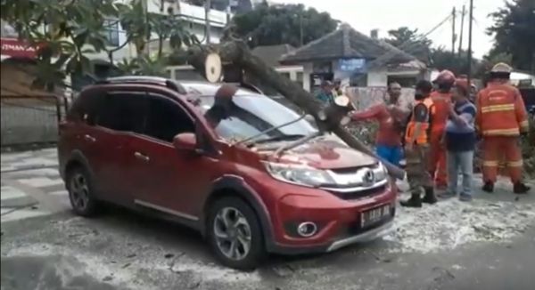 Hujan Angin di Surabaya, Pohon Tumbang Timpa Mobil