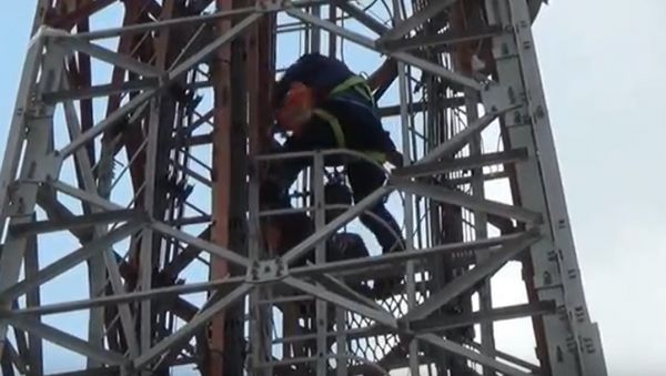 11 Jam di Atas Tower 42 Meter, Pria Sidoarjo Berhasil Dievakuasi