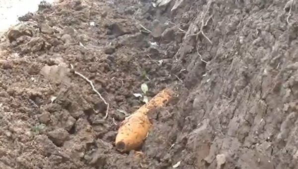 Bom Jaman Penjajahan DItemukan di Perbukitan Tulungagung