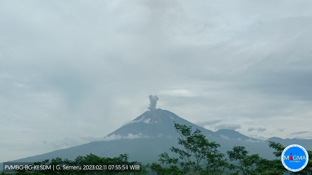 Erupsi Semeru Subuh Tadi, Awas Aliran Lahar Meluas!