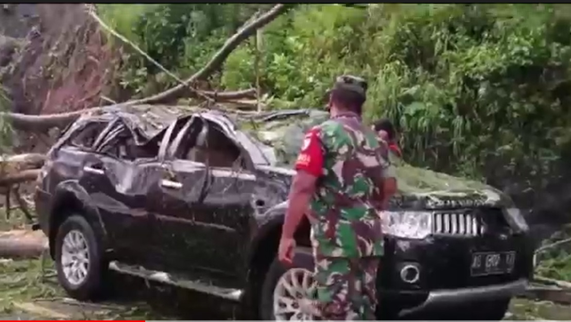 Longsor! 2 Mobil Tertimpa Pohon, 5 Penumpang Terluka