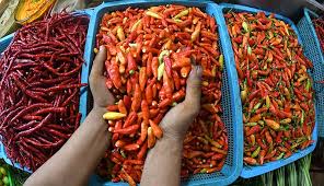 Pedasnya Harga Cabai di Jatim, Naik 2 Kali Lipat Jelang Ramadan