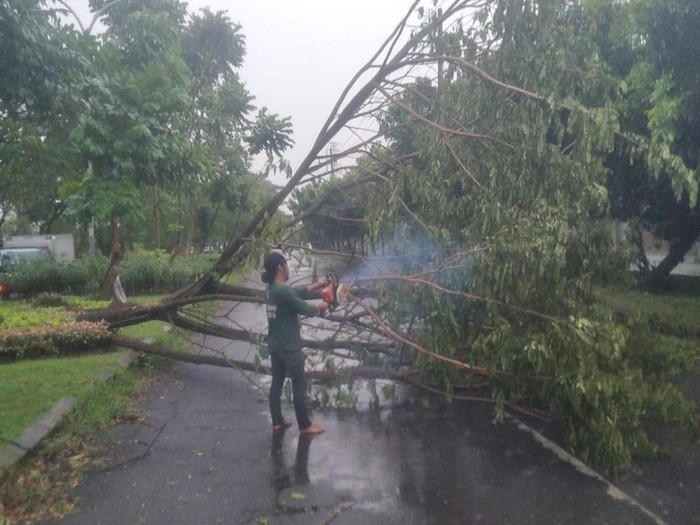 Pohon tumbang di Surabaya, Senin 10 April 2023/bpbd