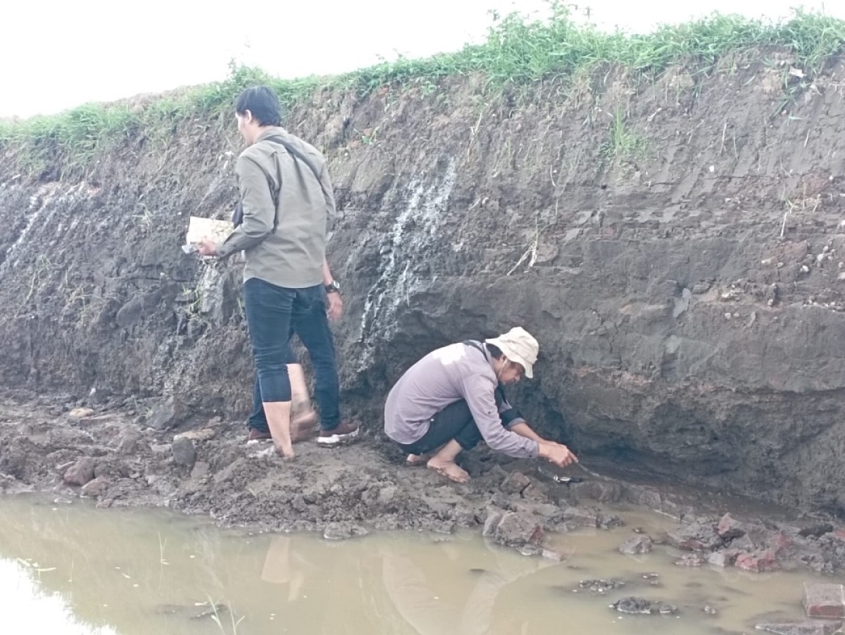 Reruntuhan situs ditemukan di galian C Banyuwangi (Foto / Istimewa)