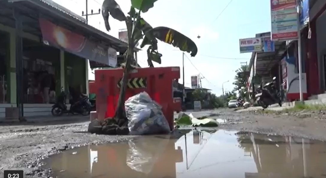 Warga menanam pohon pisang di jalan berlubang/metrotv