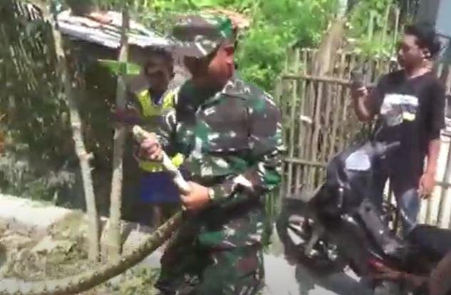 Warga Bangkalan Geger Ular Sanca 3 Mater Masuk Mobil TNI