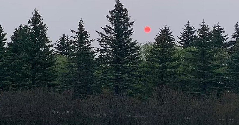 Fenomena matahari merah hebohkan warga AS (Foto / Istimewa)