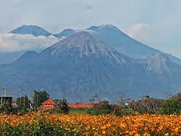 Gunung Welirang dan Arjuno/ist