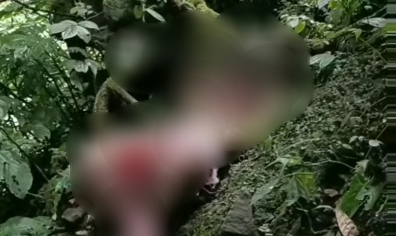 Viral Pria Berkostum BDSM Resahkan Wisatawan Coban Glotak Malang