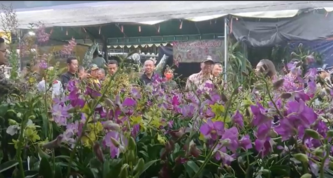 Ratusan Anggrek Adu Kecantikan di Ajang Tulungagung Orchids Show