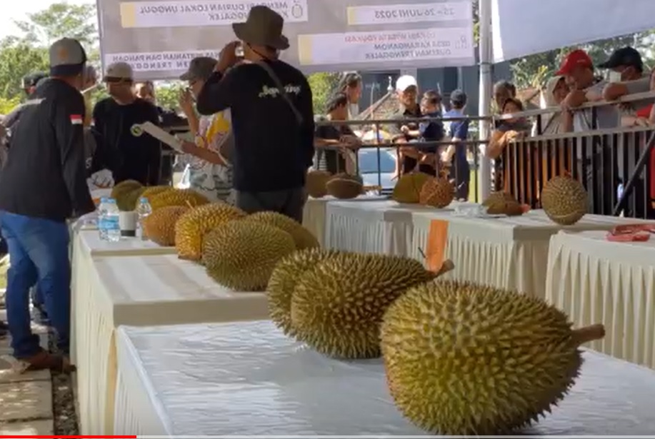 Kontes Durian di Trenggalek/metrotv