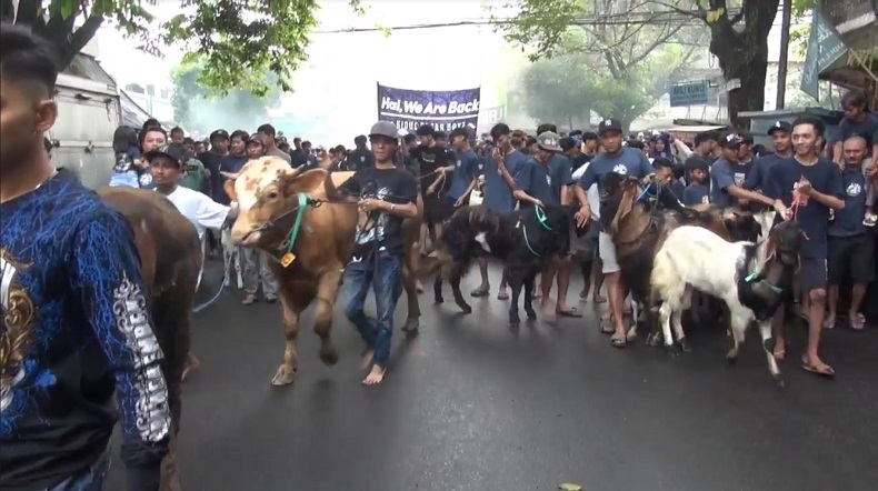 Sejumlah warga mengarak sapi sebelum disembelih di Hari Raya Idul Adha (Foto / Istimewa)