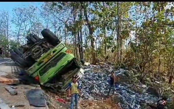 Truk pengangkut ikan tongkol terguling di kawasan hutan Baluran, Sitibondo/ist