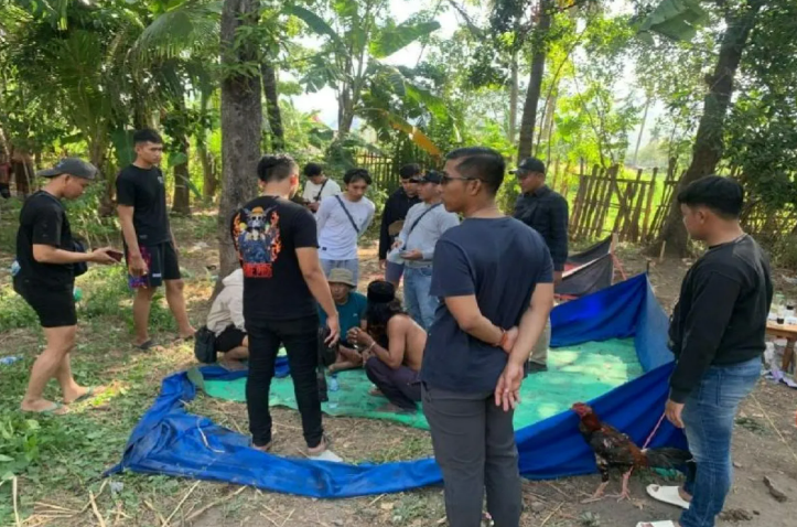Kapolres Situbondo AKBP Dwi Sumrahadi Rakhmanto di lokasi penggerebekan judi sabung ayam di Desa Secangan, Kecamatan Kendit. Minggu (6/8/2023) ANTARA/HO-Humas Polres Situbondo