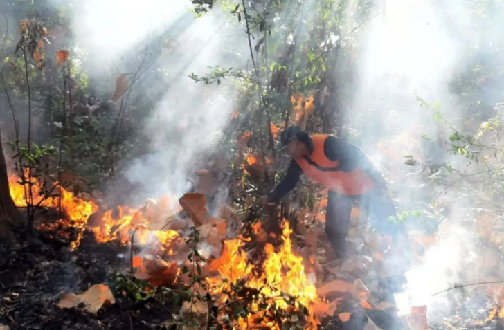 Petugas BPBD Situbondo, Jatim, berusaha memadamkan api di hutan jati Desa Pasir Putih, Kecamatan Bungatan. Selasa (8/8/2023) FOTO ANTARA/HO-Humas BPBD Situbondo