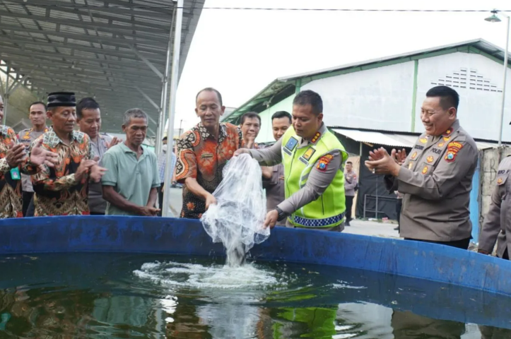 Kapolresta Sidoarjo Kombespol Kusumo Wahyu Bintoro menebar benih lele ke kolam di Desa Bangah, Kecamatan Gedangan, Kota Sidoarjo, Provinsi Jawa Timur, Selasa (8/8/2023). ANTARA/HO-Polresta Sidoarjo