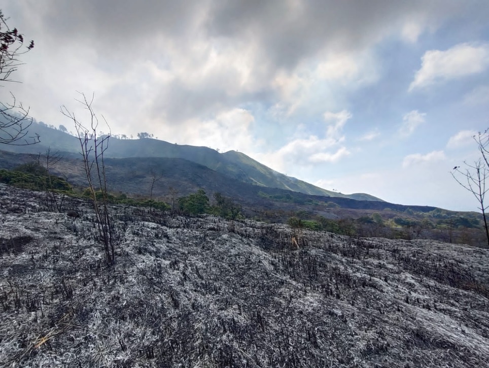 Kebakaran di lereng Gunung Arjuno, Kabupaten Malang, Jawa Timur. Sumber: BNPB via Medcom.id