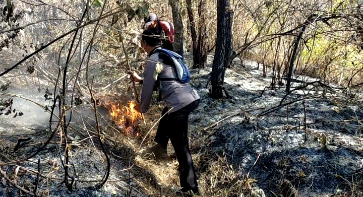 Polisi Kejar Pemburu yang Diduga Memicu Kebakaran Gunung Arjuno