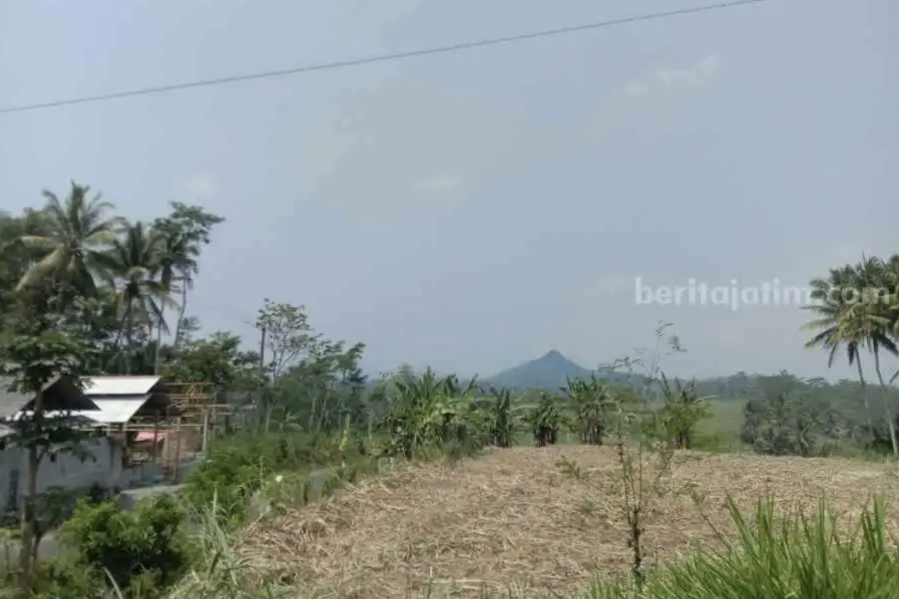 Lahan di Kabupaten Blitar