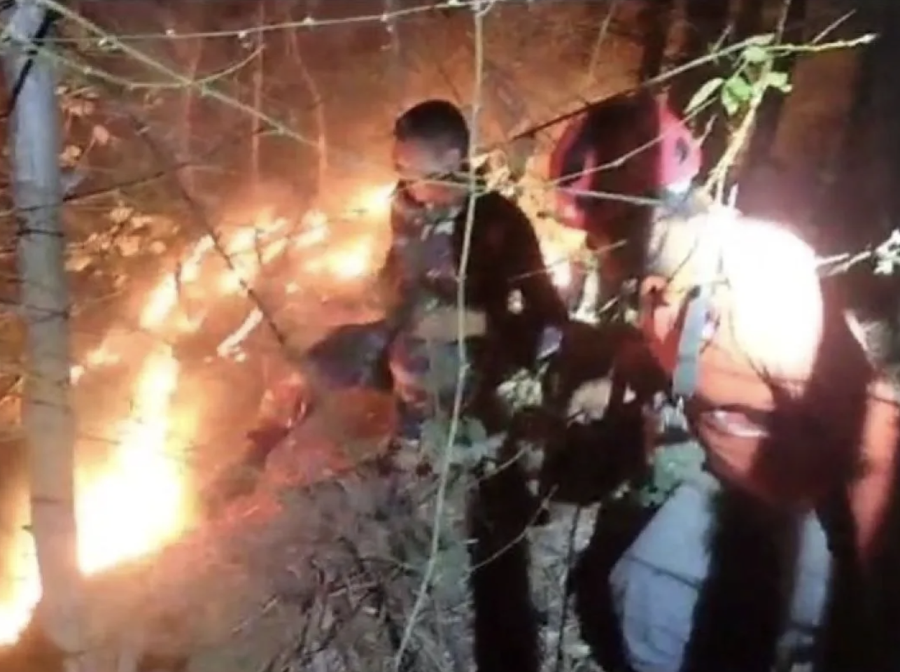 Petugas gabungan dan relawan bahu-membahu mencoba memadamkan kobaran api yang terus merembet di kawasan lereng Gunung Orak-arik, Trenggalek (ANTARA/HO - BPBD Trenggalek)