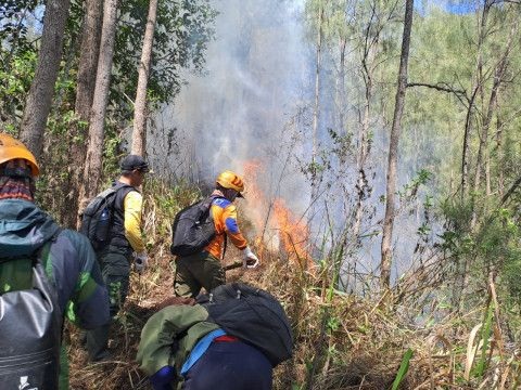 Pemadaman kebakaran hutan dan lahan (karhutla) di lereng Gunung Panderman, Kota Batu, Jawa Timur. Dokumentasi/BPBD Kota Batu.