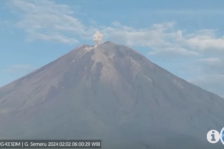 Kolom abu vulkanik keluar akibat aktivitas erupsi yang terjadi pada Gunung Semeru yang berlokasi di Kabupaten Malang dan Kabupaten Lumajang, Provinsi Jawa Timur, Jumat (2/2/2024). (ANTARA/HO-PVMBG)