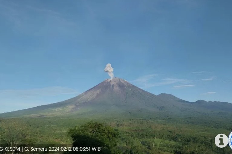 Gunung Semeru erupsi yang terpantau dari pos pengamatan gunung api di Gunung Sawur, Kabupaten Lumajang, Jawa Timur, Senin (12/2/2024). (ANTARA/HO-PVMBG)