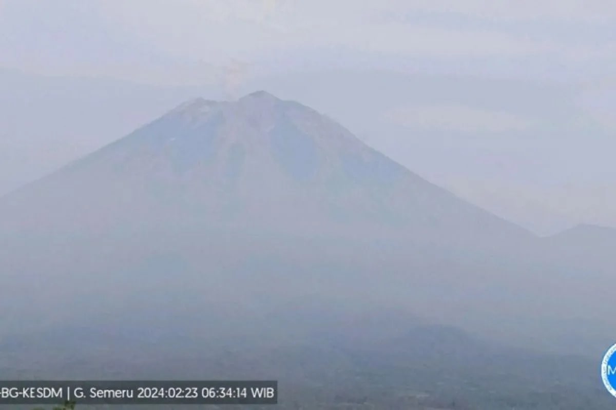 Gunung Semeru erupsi dengan menyemburkan abu vulkanik pada Jumat (23/2/2024), pukul 06.33 WIB. (ANTARA/HO-PVMBG).
