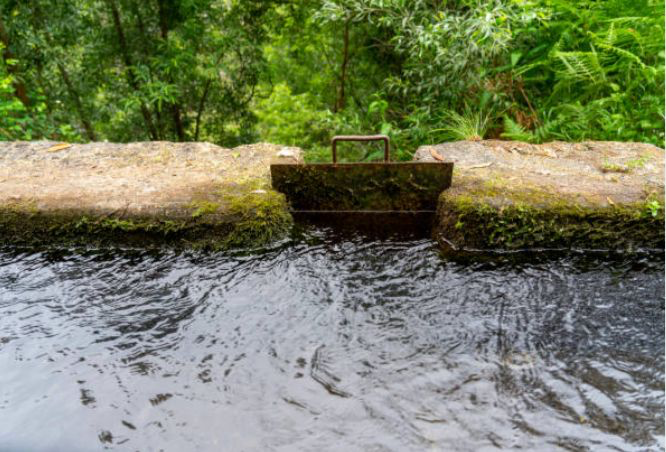 Luapan Sungai Bengawan Solo Membawa Sejumlah Dampak ke Sekitarnya