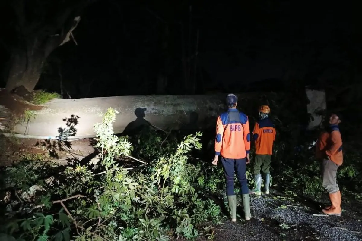 Personel BPBD Kota Batu pada saat akan melakukan pembersihan material pohon tumbang di salah satu titik terdampak, di Kota Batu, Jawa Timur, Selasa malam (12/3/2024). ANTARA/HO-BPBD Kota Batu.