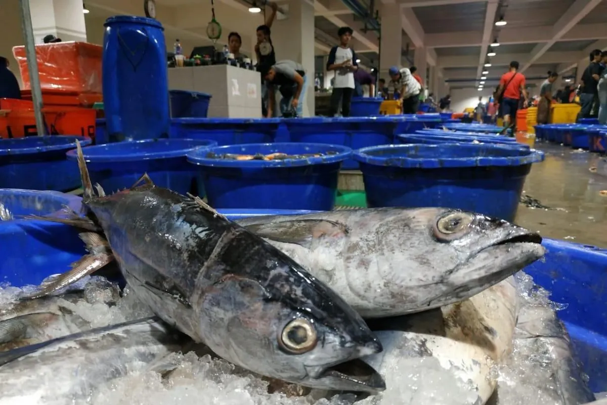 PT Perikanan Indonesia Pastikan Stok Ikan akan Tercukupi Sampai Lebaran 2024