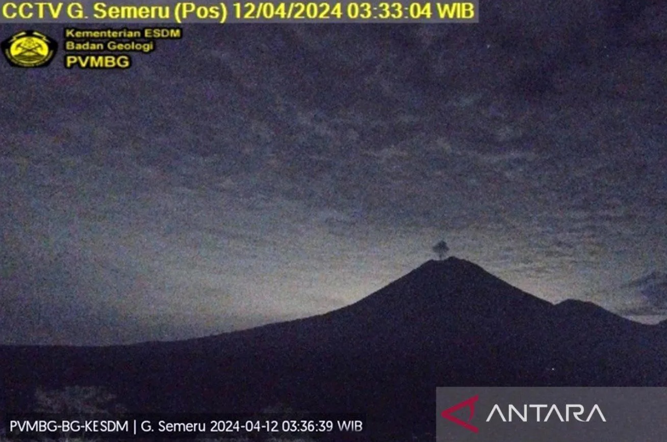 Gunung Semeru Erupsi Kembali dengan Tinggi Letusan 700 Meter