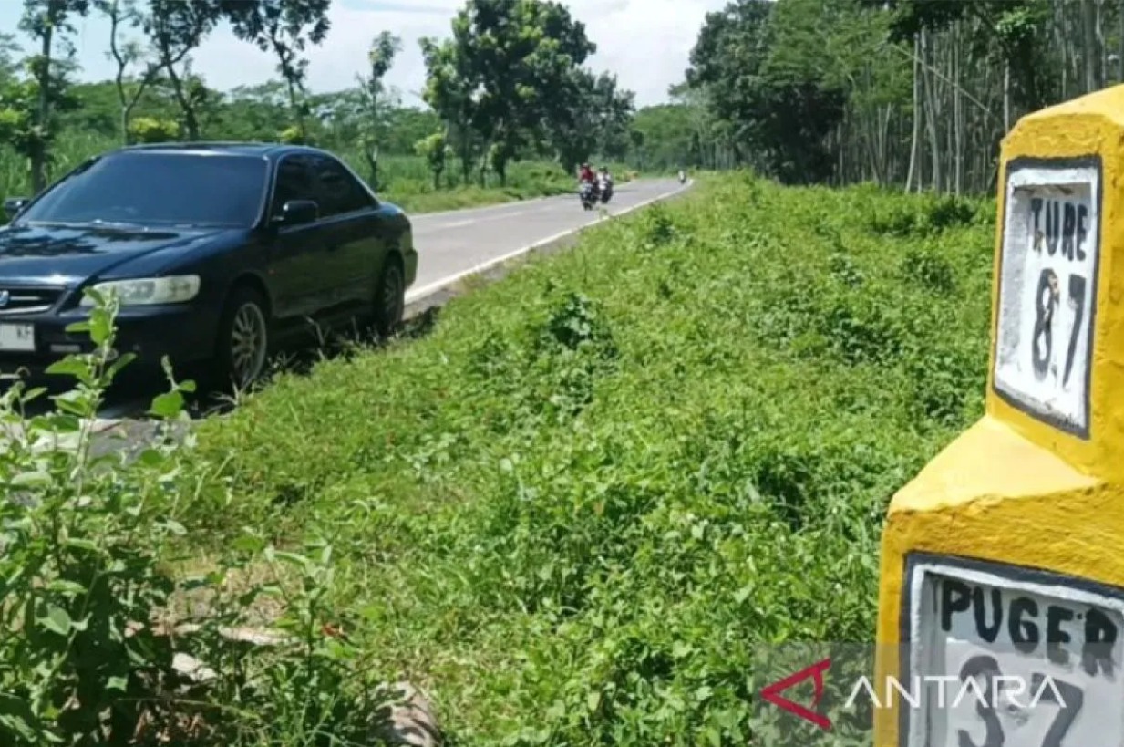 Kendaraan melintasi Jalur Pantai Selatan (Pansela) di wilayah Kabupaten Lumajang, Jawa Timur pada Selasa (16/4/2024). (ANTARA/Hanif Nashrullah) 