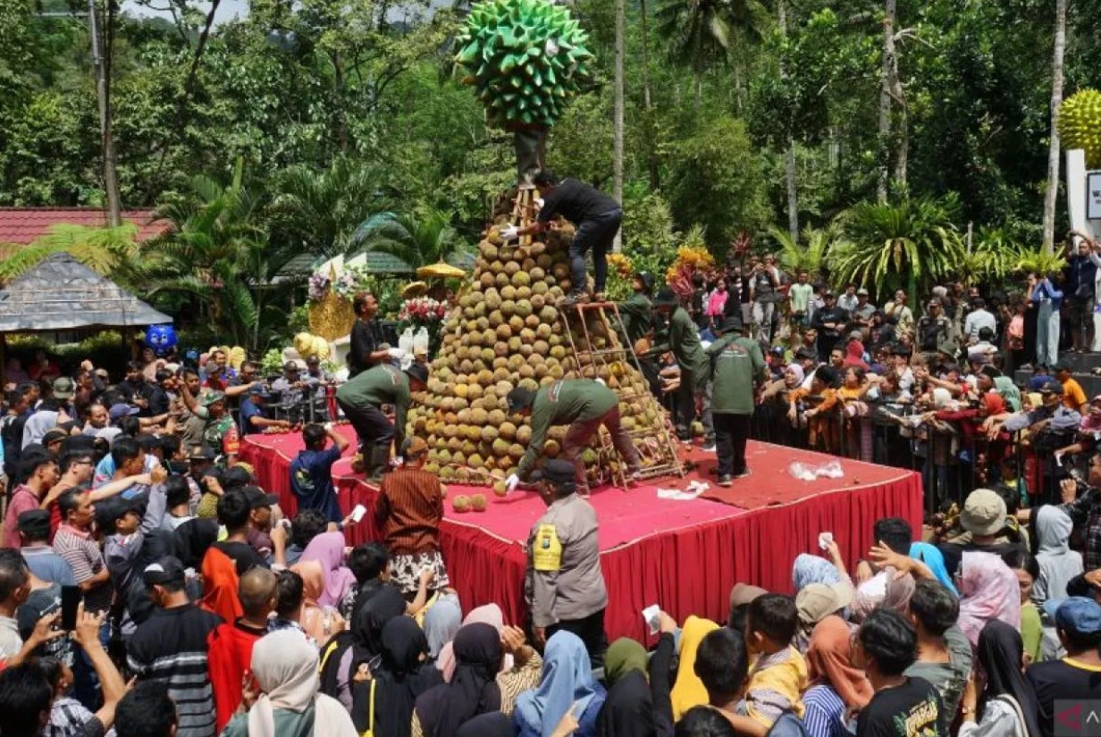 Panitia membagikan durian kepada peserta gelaran Internasional Durio Festival 2024 di Desa Wisata Durensari, Trenggalek, Jawa Timur pada Minggu (21/4/2024). (ANTARA/Destyan Handri Sujarwoko)