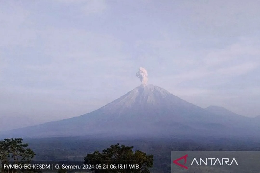 Gunung Semeru erupsi dengan tinggi kolom abu vulkanik teramati sekitar 900 meter di atas puncak, Jumat (24/5/2024) pukul 06.12 WIB. ANTARA/HO-PVMBG/am.