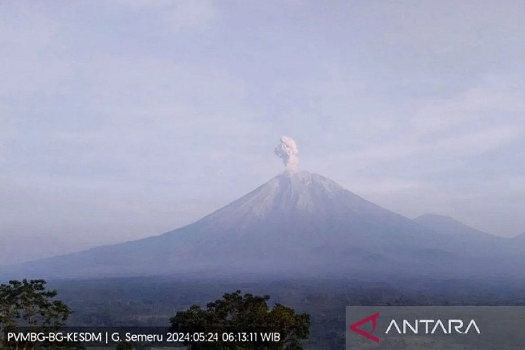 Semeru Erupsi Enam Kali dengan Letusan Abu Hingga 900 meter