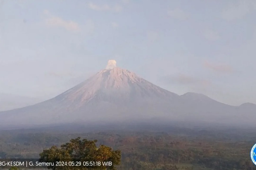 unung Semeru erupsi dengan letusan setinggi 500 meter di atas puncak pada Rabu (29/5/2024). (ANTARA/HO-PVMBG)