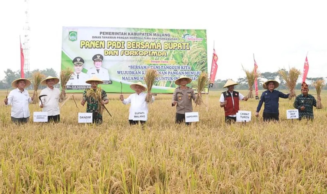 Bupati Malang M Sanusi (keempat kiri) bersama jajaran Forum Komunikasi Pimpinan Daerah (Forkopimda) Kabupaten Malang melakukan panen padi di Desa Tanggung, Kecamatan Turen, Kabupaten Malang, Jawa Timur, Jumat (31/5/2024). ANTARA/HO-Prokopim Setda Kabupate