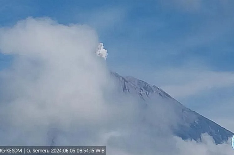 Gunung Semeru erupsi dengan tinggi kolom letusan teramati sekitar 500 meter di atas puncak pada Rabu (5/6/2024) pukul 08.53 WIB. (ANTARA/HO-PVMBG)