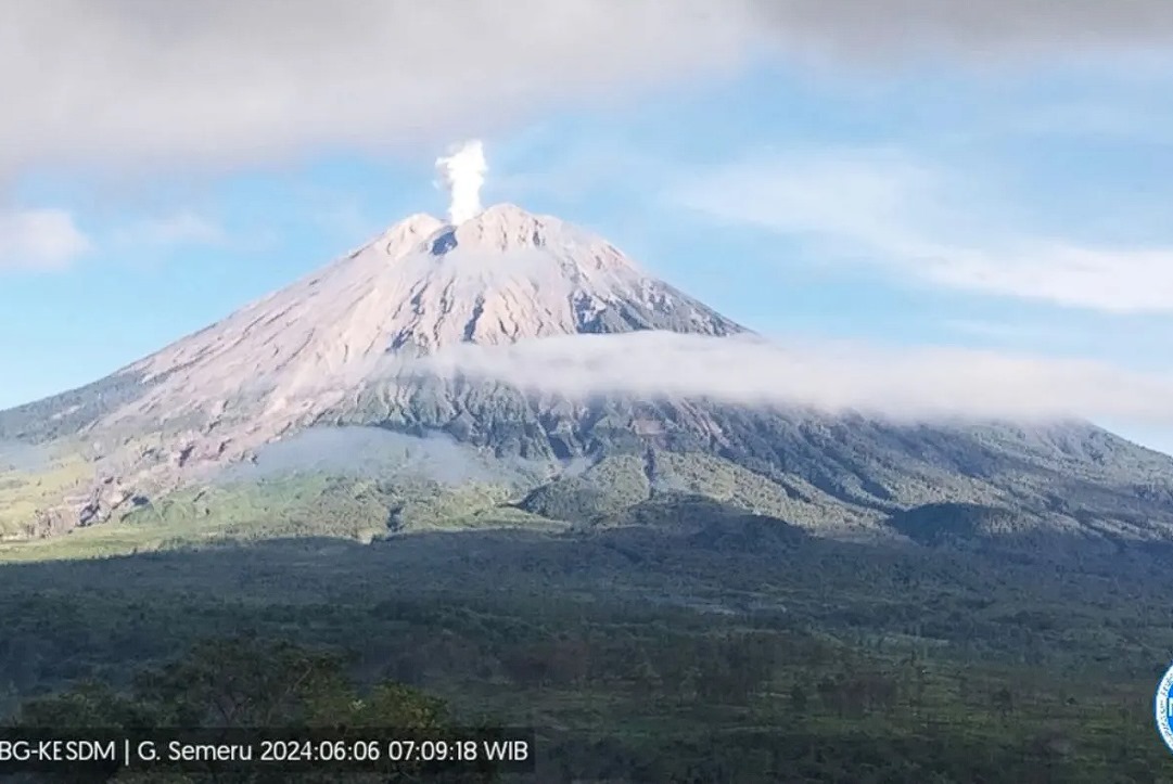 Gunung Semeru, yang terletak di perbatasan Kabupaten Lumajang dan Malang, Jawa Timur, kembali mengalami erupsi. Abu vulkanik membumbung setinggi 800 meter di atas puncak pada Kamis pagi.