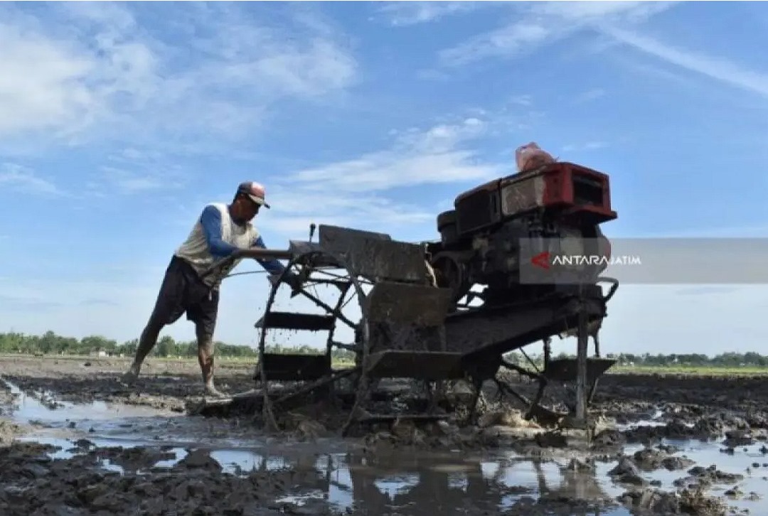ilustrasi - Petani membajak sawah menggunakan mesin untuk mempersiapkan tanam padi di Kabupaten Madiun, Jawa Timur. Antara Jatim/Foto/Siswowidodo
