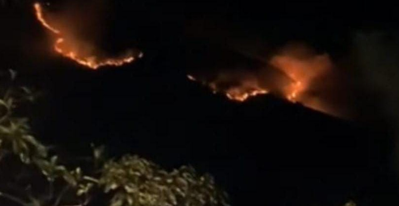 Kondisi kebakaran lahan konservasi Bromo di kawasan TNBTS wilayah Kecamatan Tosari, Kabupaten Pasuruan, Rabu (19/06/2024). (Tugujatim/Foto: dok warga)