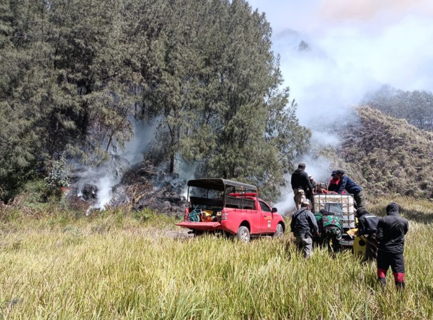 Petugas gabungan memadamkan api yang membakar kawasan hutan Taman Nasional Bromo Tengger Semeru (TNBTS) di Gunung Batok(Dok TNBTS). Media Indonesia