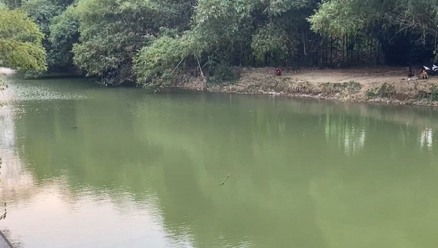 Buaya Ditemukan Oleh Pemburu Ikan di Sungai Ngasinan