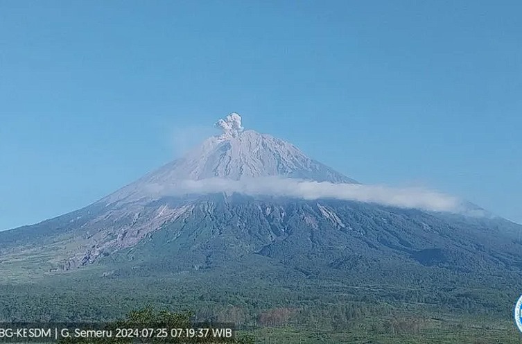 Gunung Semeru erupsi yang terpantau dari Pos Pengamatan Gunung Semeru di Lumajang pada Kamis (25/7/2024) pagi pukul 7.19 WIB. (ANTARA/HO-PVMBG)