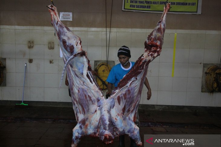 Pekerja memotong daging hewan kurban yang telah disembelih di Rumah Potong Hewan (RPH) Pegirian, Surabaya, Jawa Timur, Jumat (31/7/2020). RPH Pegirian menyediakan jasa pemotongan hewan kurban dengan menerapkan protokol kesehatan secara ketat seperti pengg